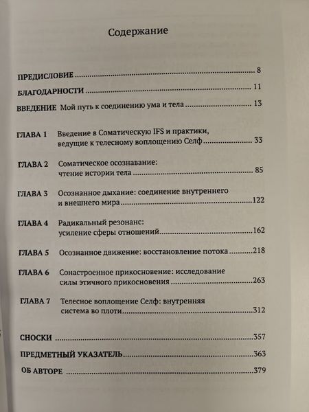 Соматическая терапия внутренних семейных систем re-2093 фото